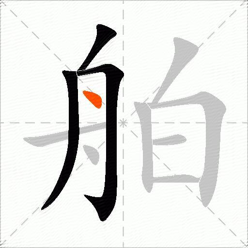 舶