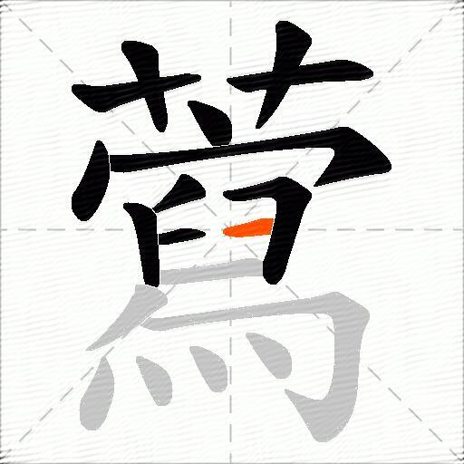 藛
