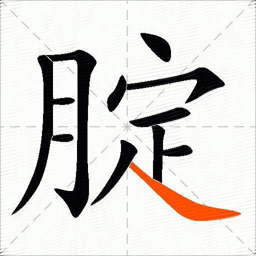 腚