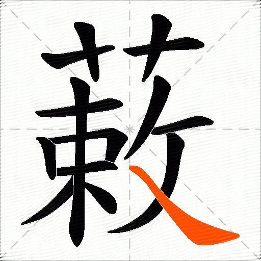蓛