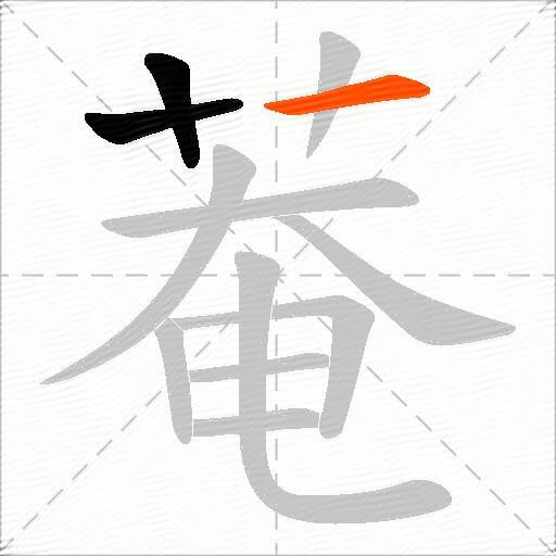 菴