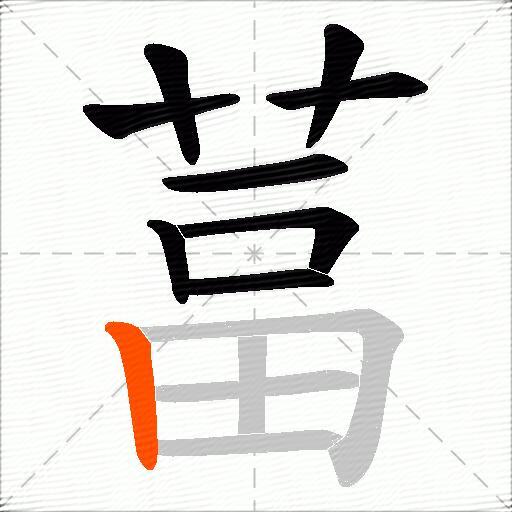 葍