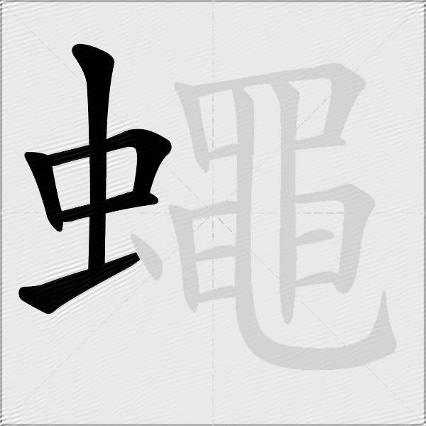 蠅