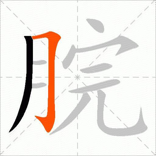脘