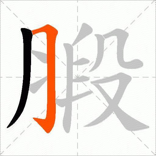 腶