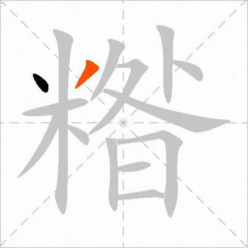 糌