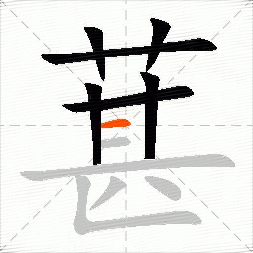 葚