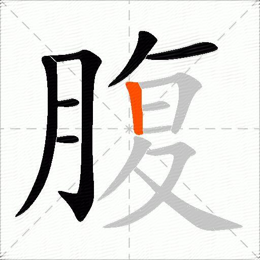 腹