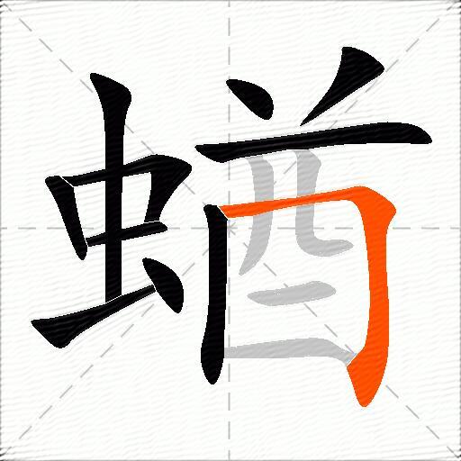 蝤