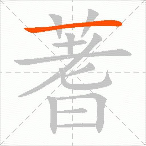 蓍