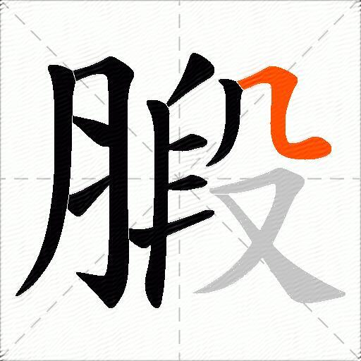 腶
