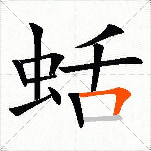 蛞