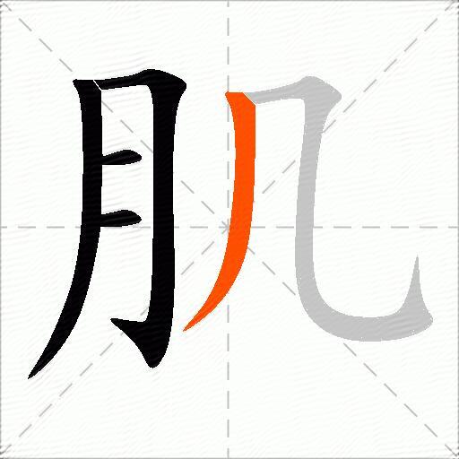 肌