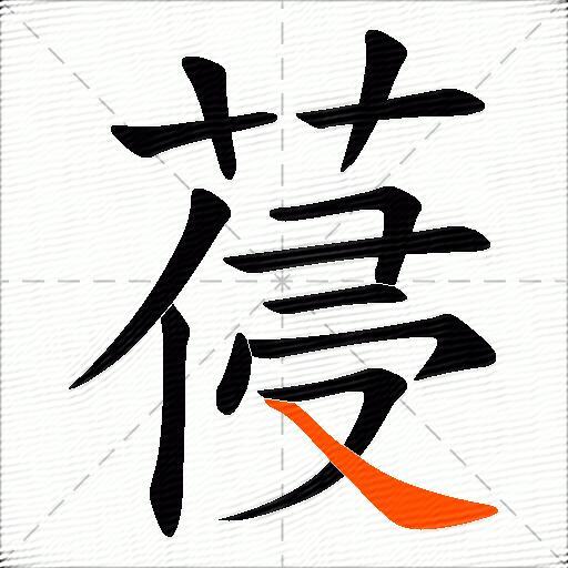 葠