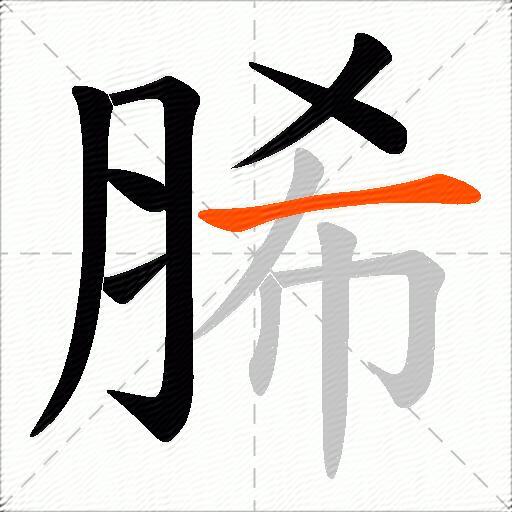 脪