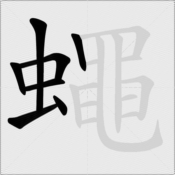 蠅