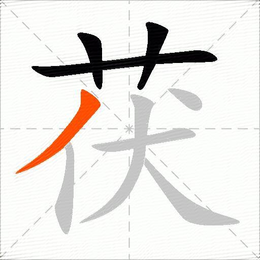 茯