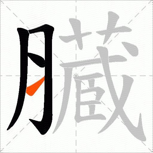 臓