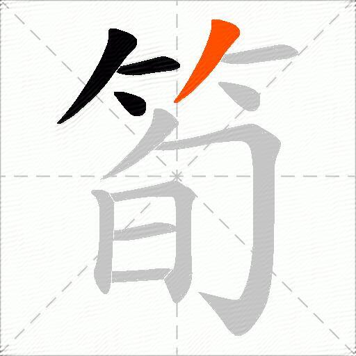 筍