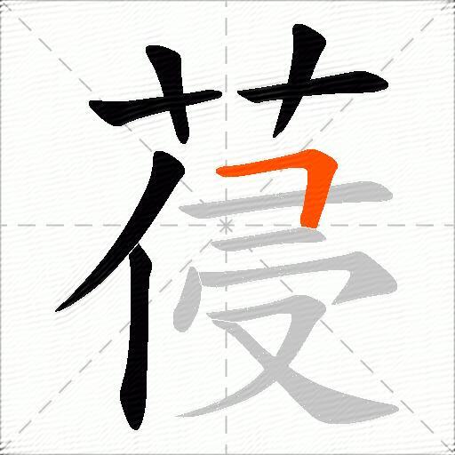 葠