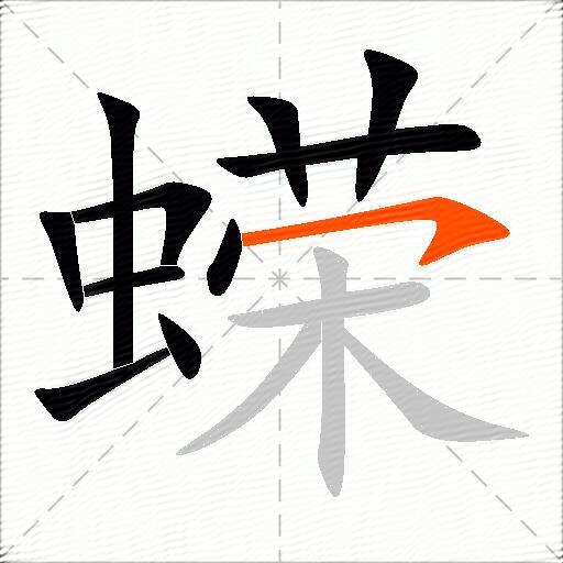 蝾