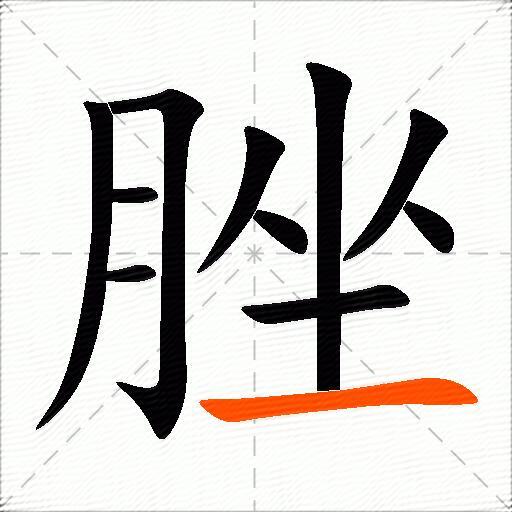 脞