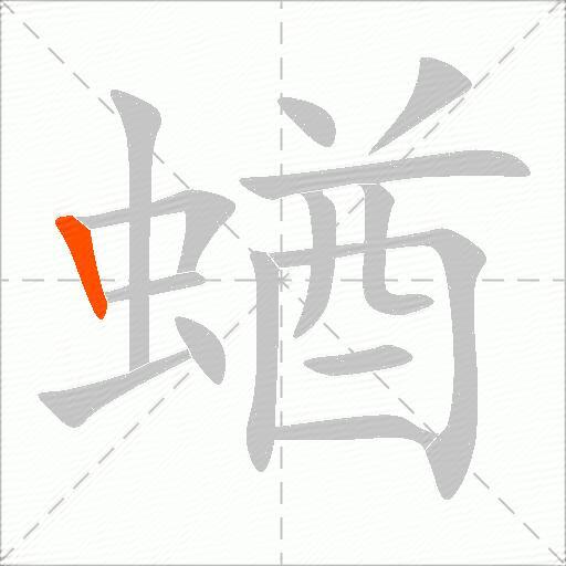 蝤