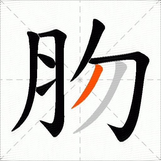 肳