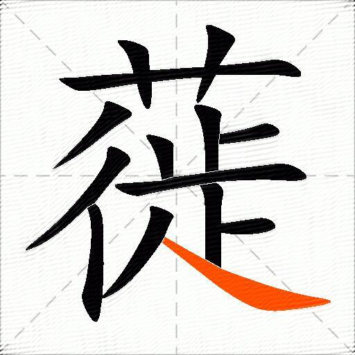 蓰