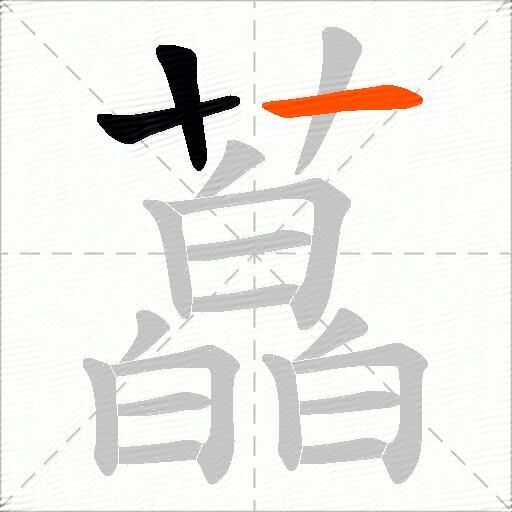 藠