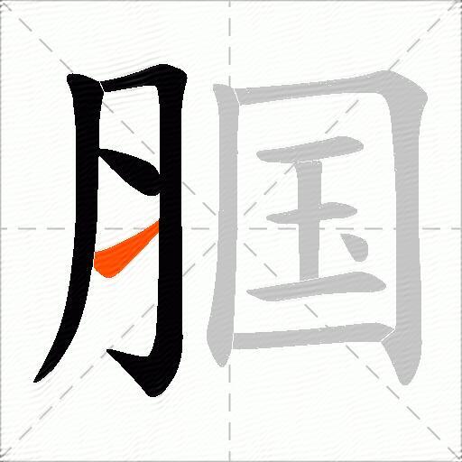 腘