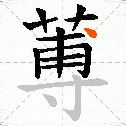 蒪