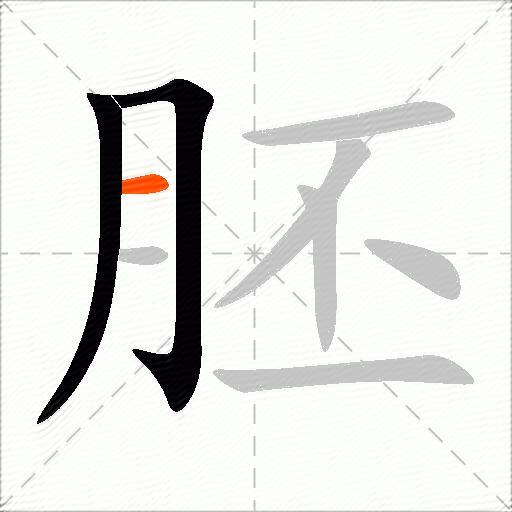 胚