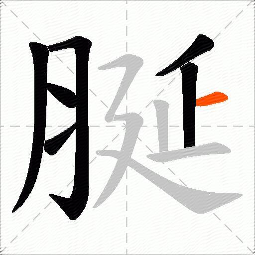 脠