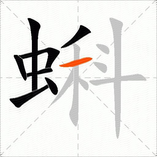蝌