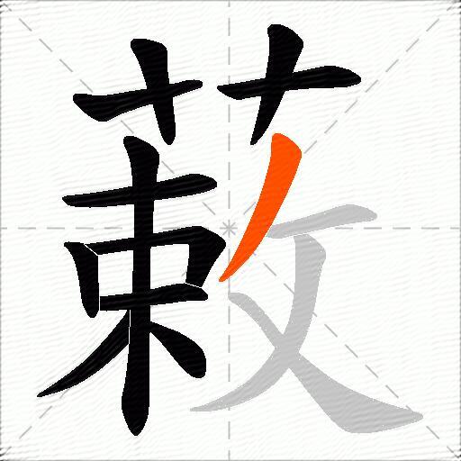 蓛