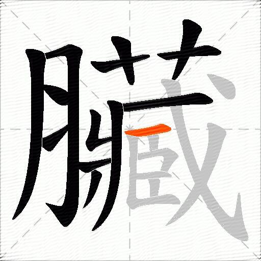 臟