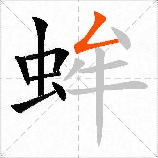 蛑