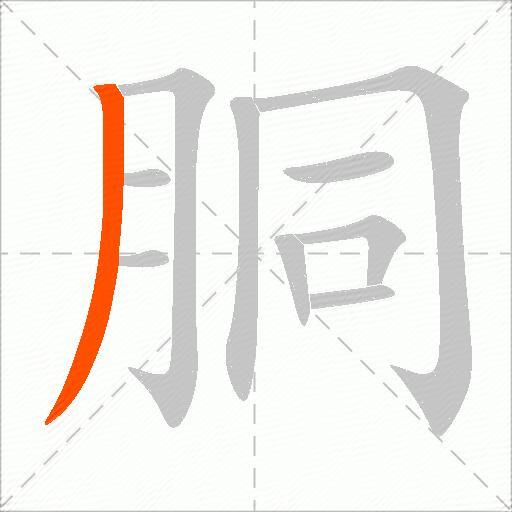 胴