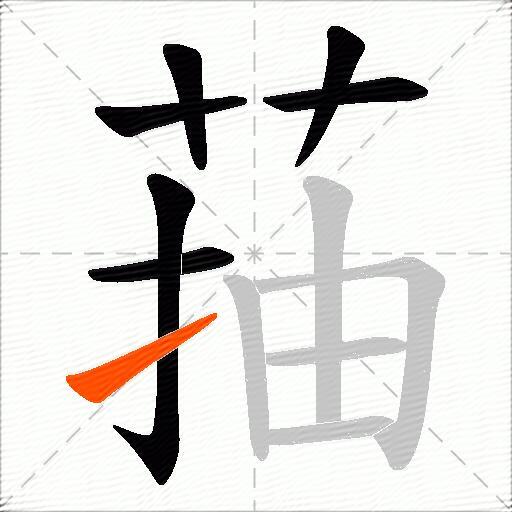 菗