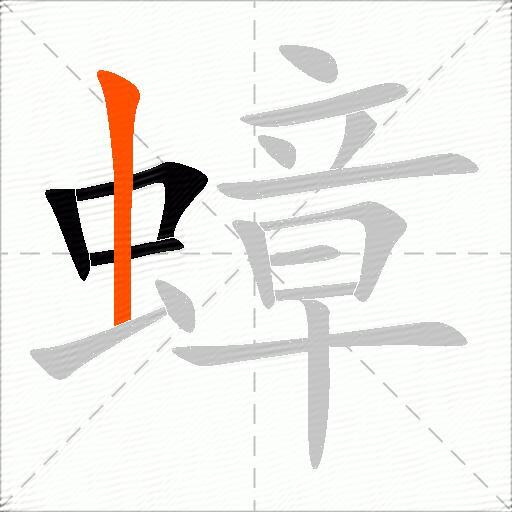 蟑