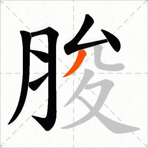 脧