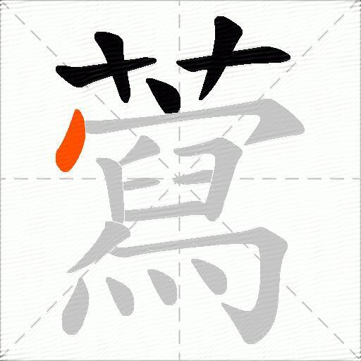 藛