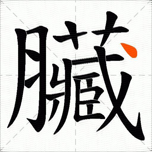 臟
