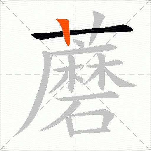 蘑
