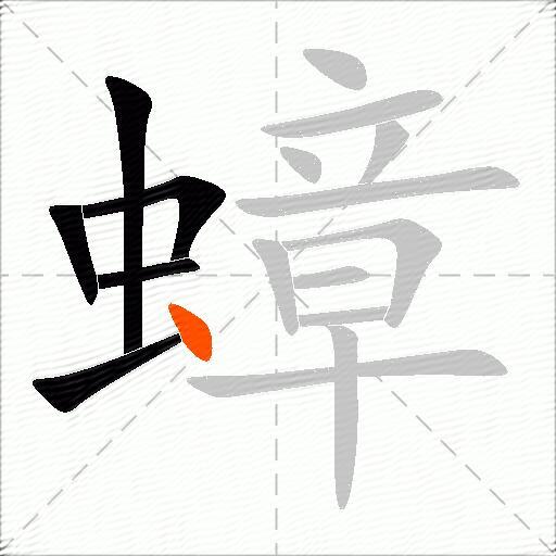 蟑