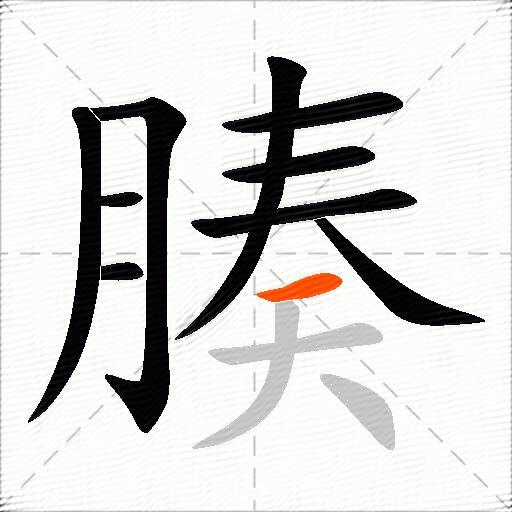 腠