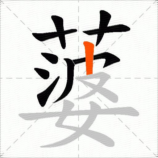 蔢
