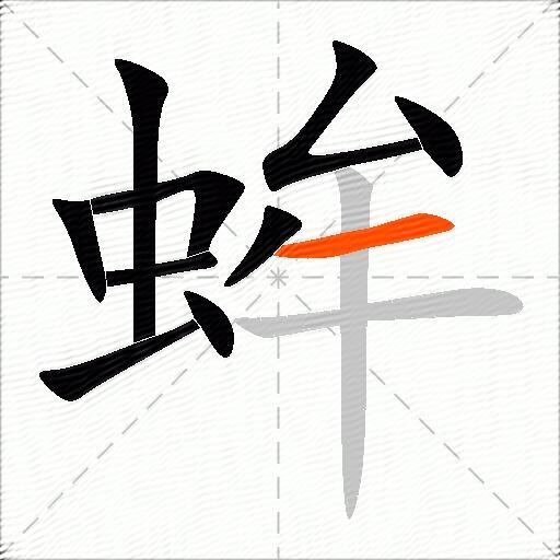 蛑