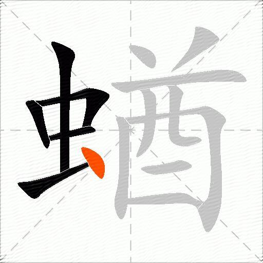 蝤